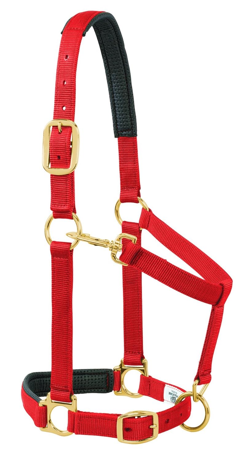 1 Large Horse or 2YearOld Draft Weaver Leather Padded Adjustable Chin