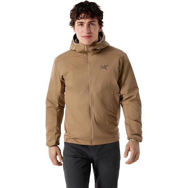 Arc'teryx Rho LT Zip Neck Men's | Lightweight Torrent Base Layer