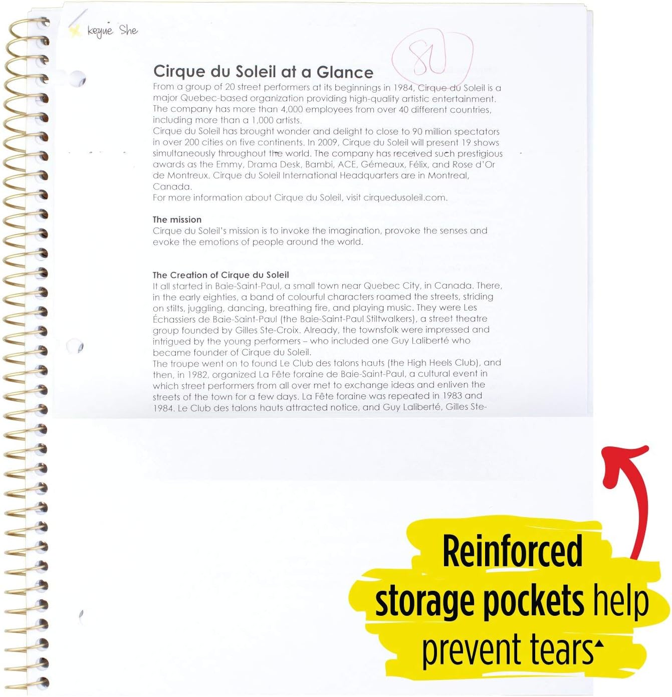 Five Star Spiral Notebook, 1 Subject, College Ruled Paper, 100 Sheets, 11" x 8-1/2", Design Selected For You (06348): Furniture & Decor