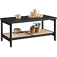 VASAGLE 2-Tier Coffee Table for Living Room, Living Room Table Rectangular Center Table, with PVC Rattan Storage Shelf, Rounded Corners, Easy Assembly, Boho Style, Ash Black ULCT240B21