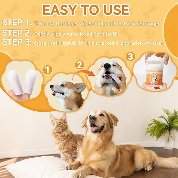 ERIGATHE DOG TEETH CLEANING WIPES FOR DOGS & CATS 60 COUNTS, DOG DENTAL FINGER WIPES REMOVE BAD BREATH, DOG TOOTH BRUSHING KIT WIPES REDUCING TARTAR BUILDUP & GUM CARE PET DOG TEETH WIPES