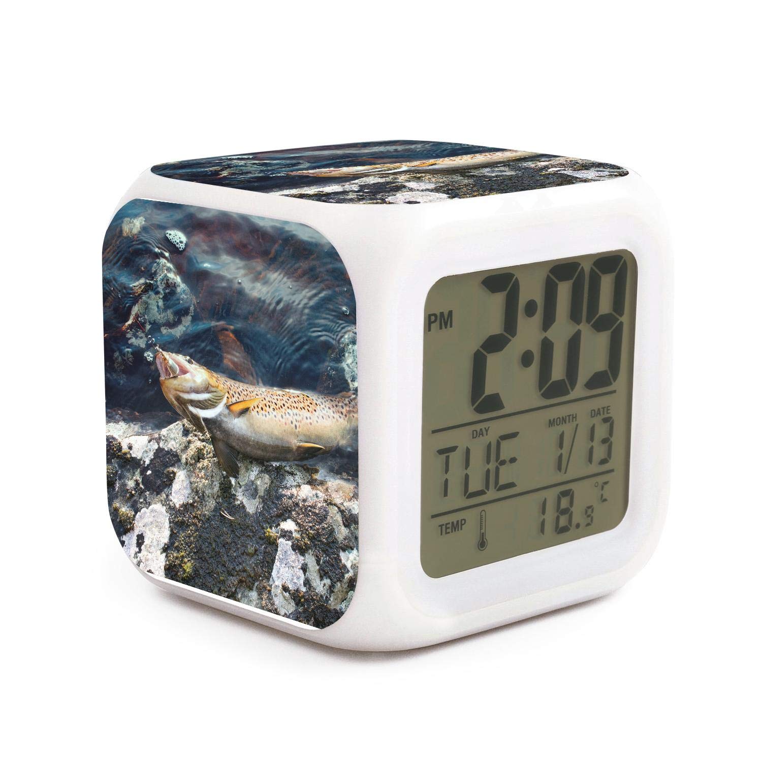 Which Is The Best Fisherman Wireless Forecast Station La Crosse