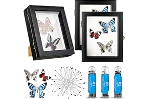 MACARRIE 3 Pcs Insect Display Case Wall Mount Clear Bug Display Case Collection Box with Anti Fade UV Protection Top Eva Foam Pin 300 Pcs and 3 Sizes Pins Insect Shadow Box for Butterfly Specimen
