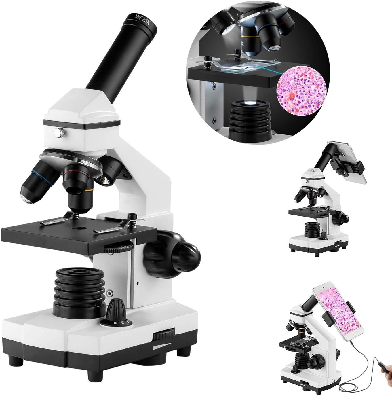 XDDWD Monocular microscope for students and children, 200-2000x magnification Powerful biological learning microscopes with surgical equipment (10p), slide set (15p)