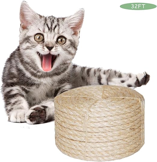 accesorios gatos amazon