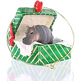 Conversation Concepts Hippopotamus Gift Box Christmas Ornament - Delightful, Gold