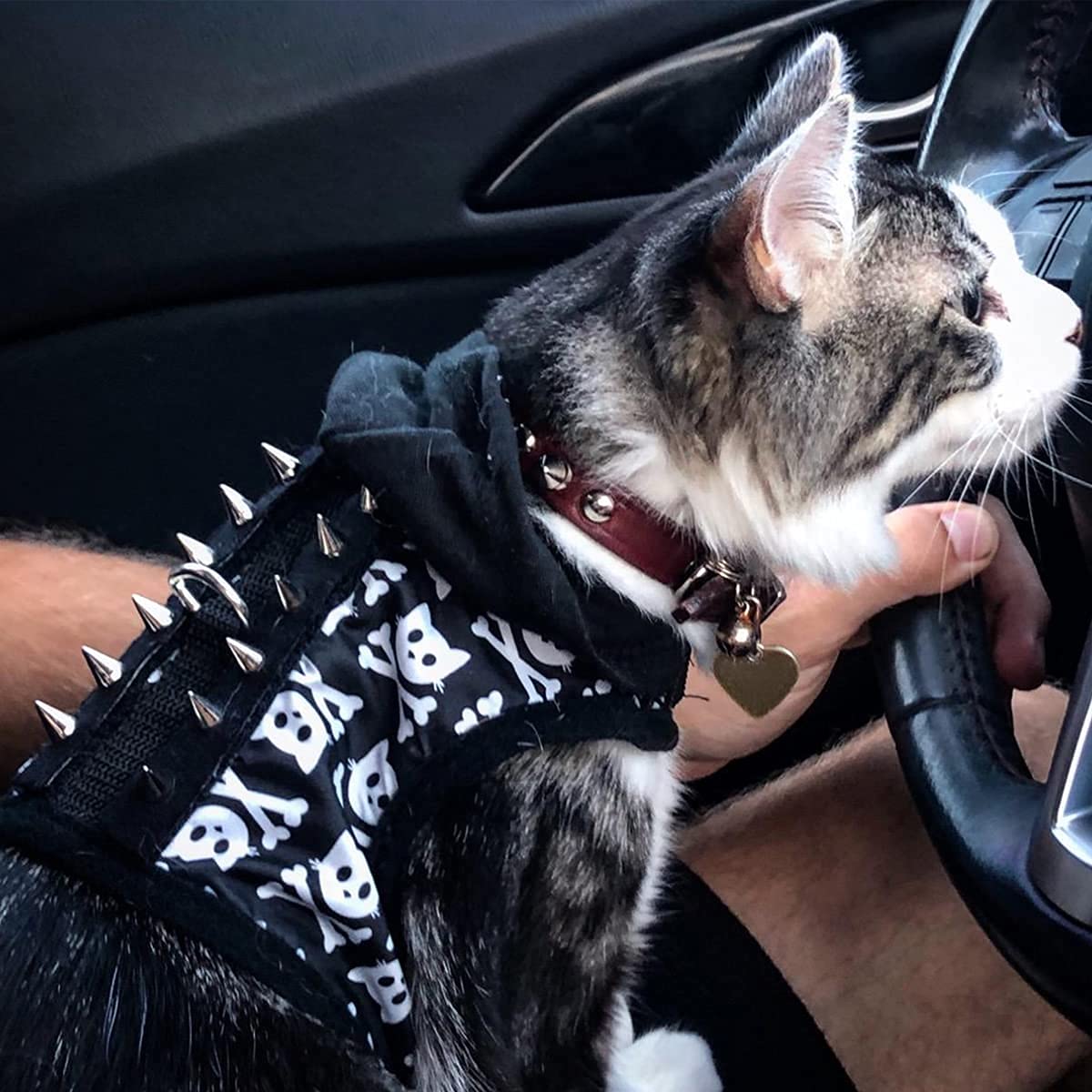 zhuohai 100 Pairs Cone Spikes Screwback Studs, Cone Silver Studs and Spikes Punk, DIY Leather Craft Cool Rivets Punk(7X10mm)