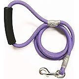 5280 dog leash