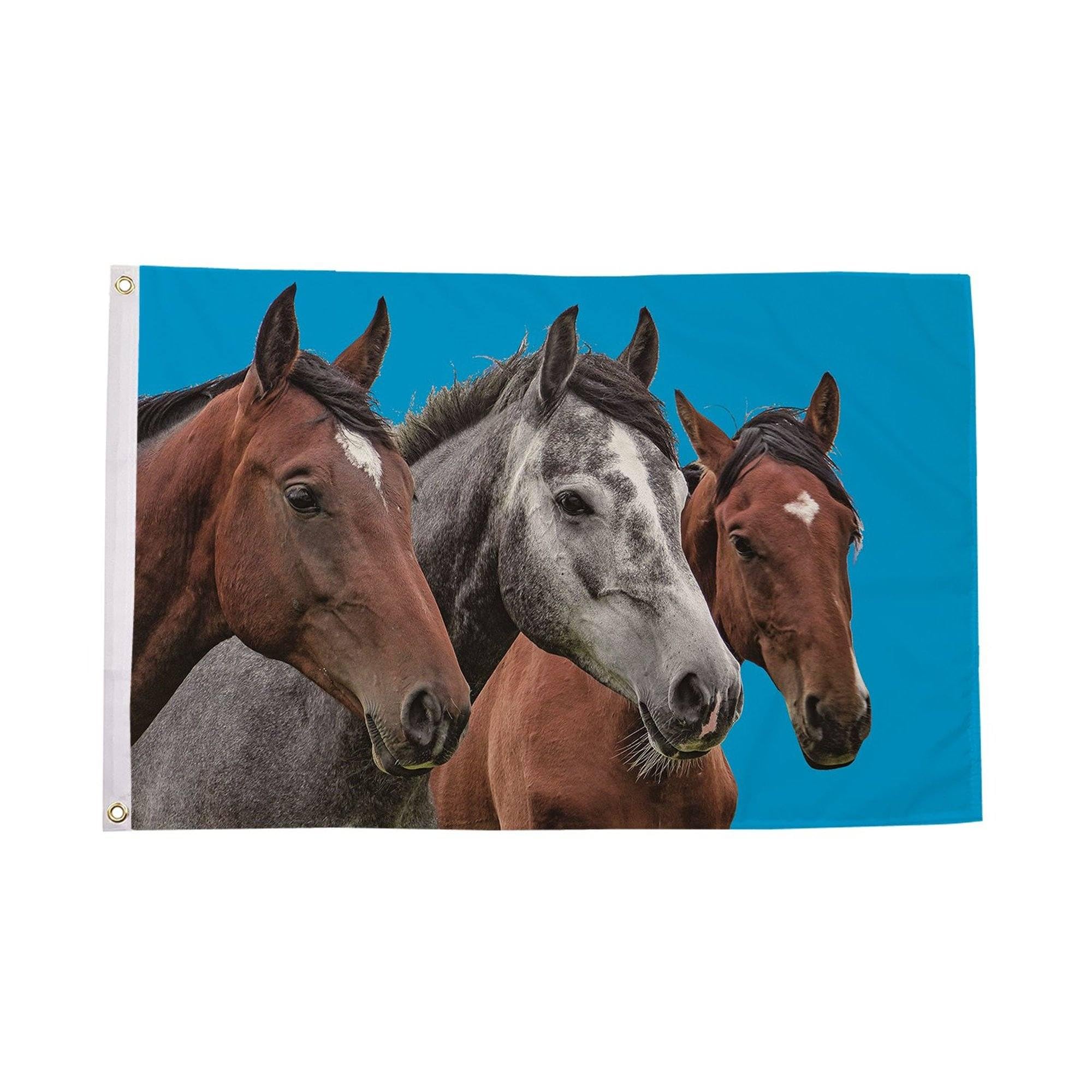 Flagtex Horses Flag 5ft x 3ft Large Flag 150cm x 90cm | Premium Woven Polyester with Brass Eyelets | Indoor Outdoor Garden Display Wall Hanging | Equestrian Wildlife Animal Lover Novelty Decoration