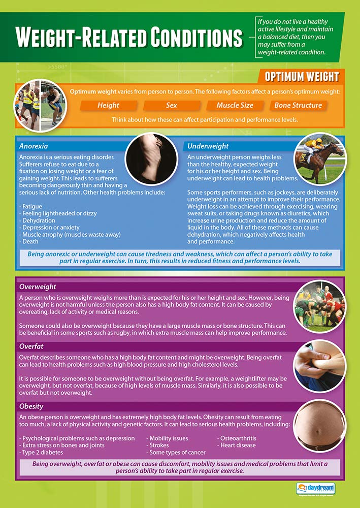 Weight-Related Conditions | PE Posters | Laminated Gloss Paper measuring 850mm x 594mm (A1) | Physical Education Charts for the Classroom | Education Charts by Daydream Education