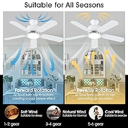 Surtime 44 Inch Low Profile Ceiling Fans with