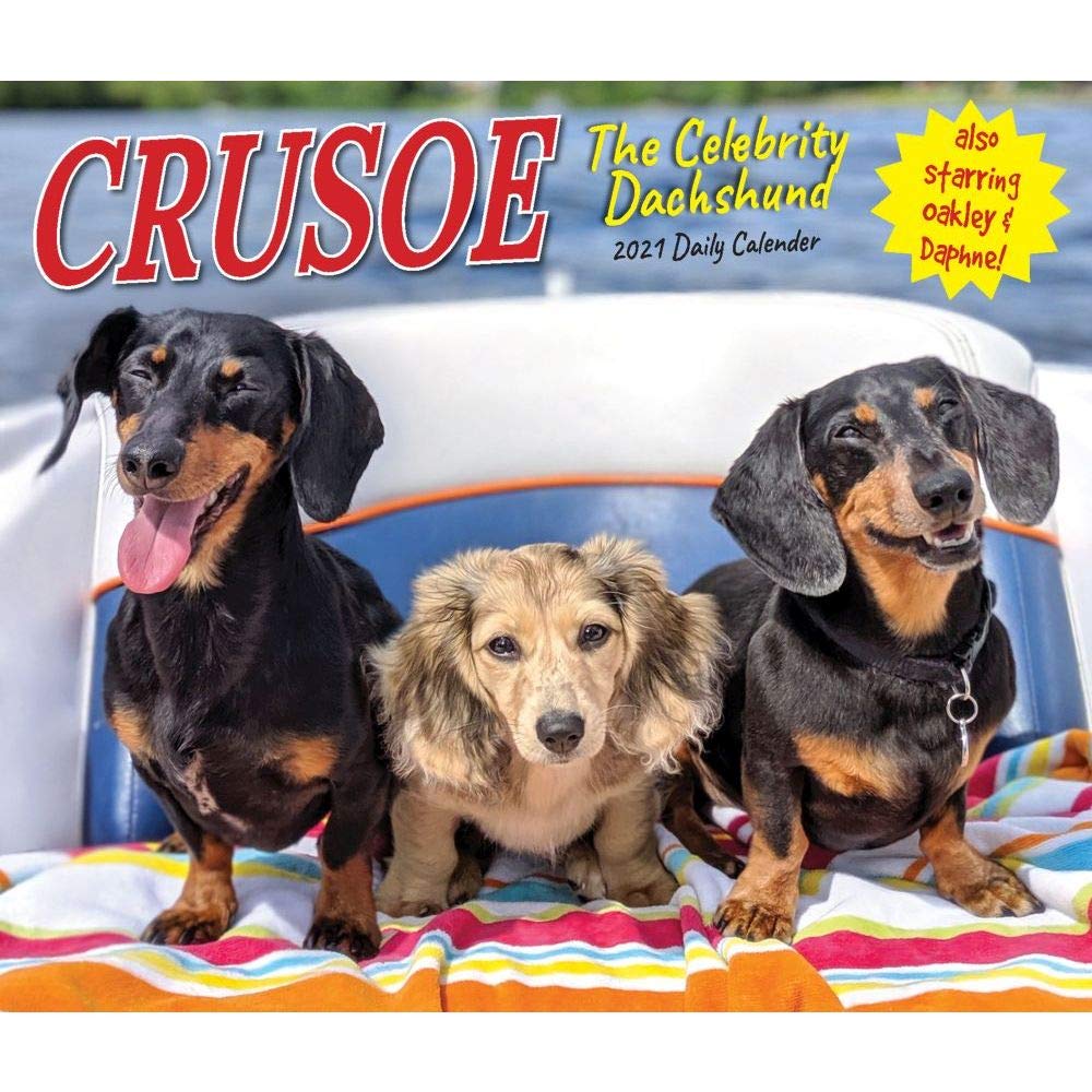 Crusoe the Celebrity Dachshund 2020 Box Calendar (Dog Breed Calendar)