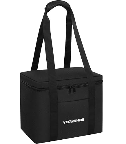 Amazon.com: OURHZTB Carrying Case Compatible with Anker 521