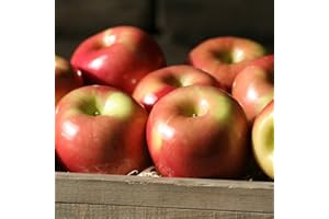 GOINSANE Fuji Apples - 2.5 lb
