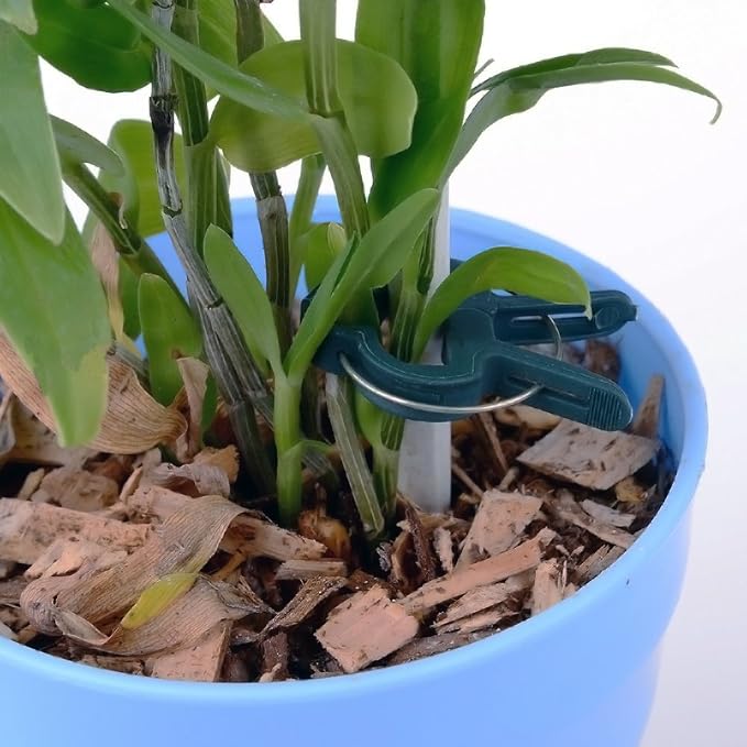 JYCRA Pinzas de resorte para plantas y vid, reutilizables, para ...