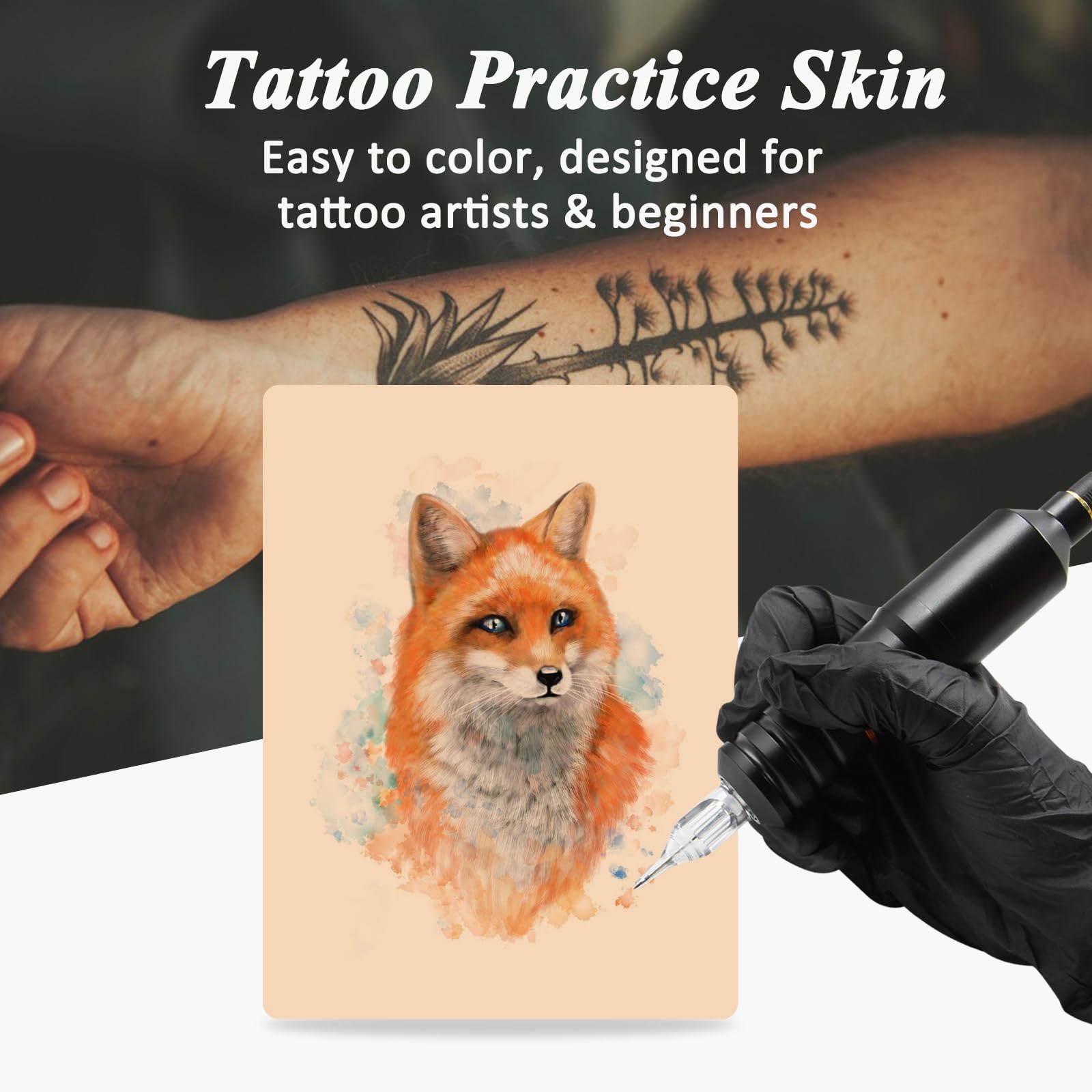 View 3