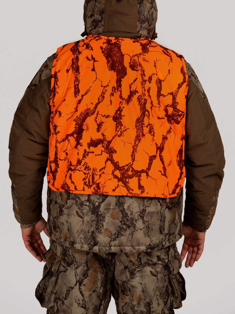 matching christmas pjs with dog