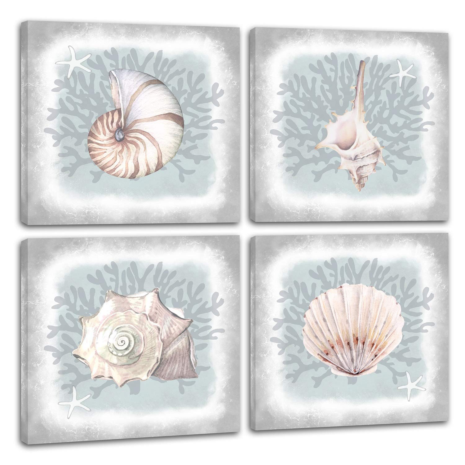 Paimuni Seashell Wall Decor 4 Pieces Modern Ocean Beach Picture Small Conch Shell Painting Print On Canvas For Bathroom Kitchen Decoration Coastal Wall Art Ready To Hang 12x12 Inches Amazon In Home