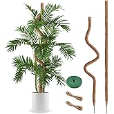 2 Pack Moss Pole, 63 Inch Bendable Moss Poles for Plants Monstera Long for Climbing Plants, Extra Large Handmade Pole Plant Sticks Support Stakes for Indoor Plants to Grow Upwards