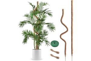 NATSUKY 2 Pack Moss Pole, 63 Inch Bendable Moss Poles for Plants Monstera Long for Climbing Plants, Extra Large Handmade Pole Plant Sticks Support Stakes for Indoor Plants to Grow Upwards