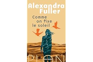 Comme on fixe le soleil - Rentrée Littéraire 2025 (Feux croisés) (French Edition)
