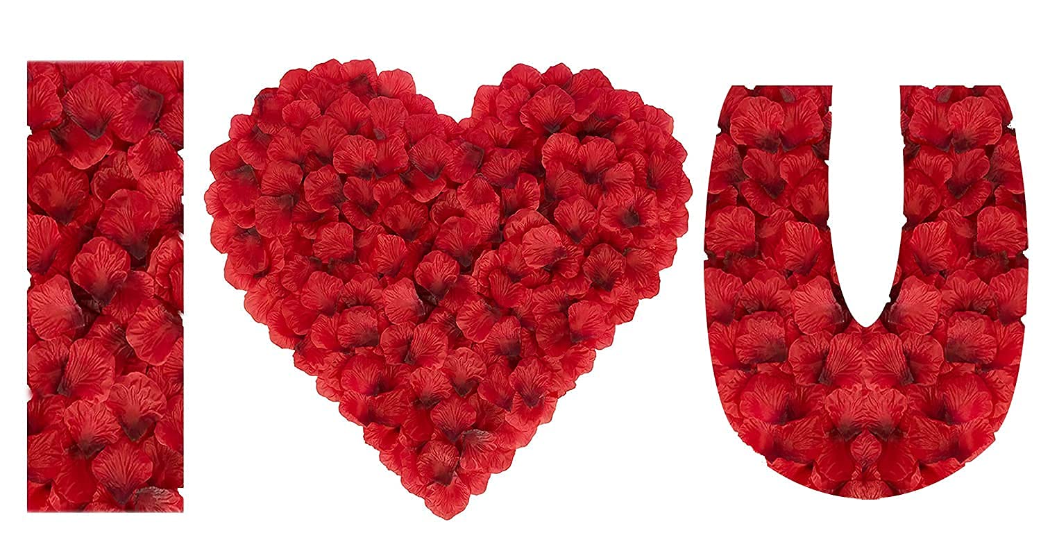 View 3