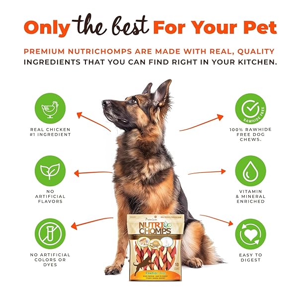 NUTRICHOMPS DOG CHEWS, 6-INCH BRAIDS, EASY TO DIGEST, RAWHIDE-FREE DOG TREATS, HEALTHY, 10 COUNT, REAL CHICKEN, PEANUT BUTTER AND MILK FLAVORS