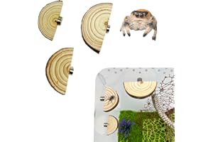 Okueejur 3 Pack Jumping Spider Enclosure Ledges with Magnets Natural Pine Spiders Ledges Magnetic Ledge Ladder Pet Jumping Sp