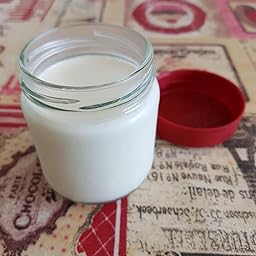 SEVERIN Yogurtera, Incl. 7 Tarros de 150 ml, Marcador de Memoria ...