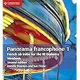 Panorama francophone 1 Workbook: French ab Initio for the IB Diploma (French Edition)
