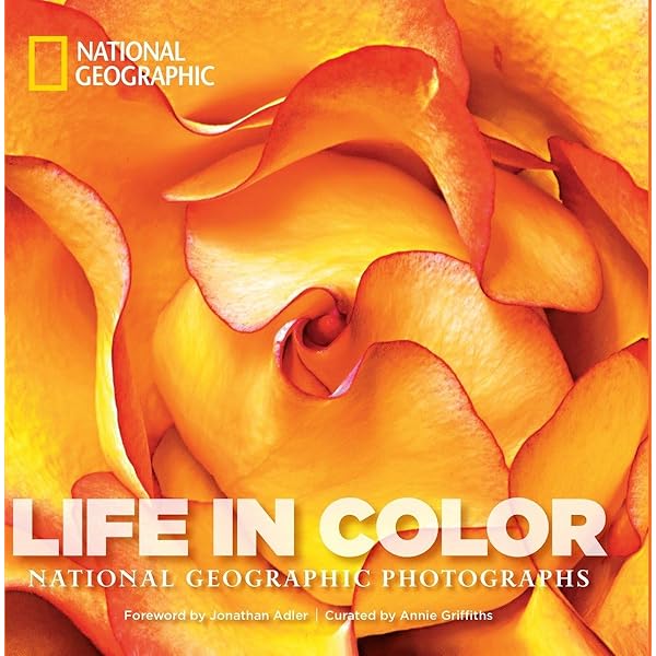 Through the Lens: National Geographic's Greatest Photographs