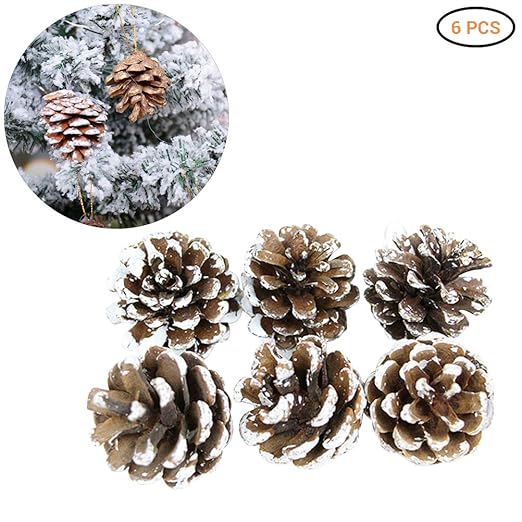 Decorazioni Natalizie Naturali.Decorazioni Per Alberi Di Natale Pigne Appese Pigne 6 36pcs Pigne Coni Naturali Decorazioni Natalizie Decorazioni D Avvento Decorazioni Autunnali Ca 4 5cm Amazon It Casa E Cucina