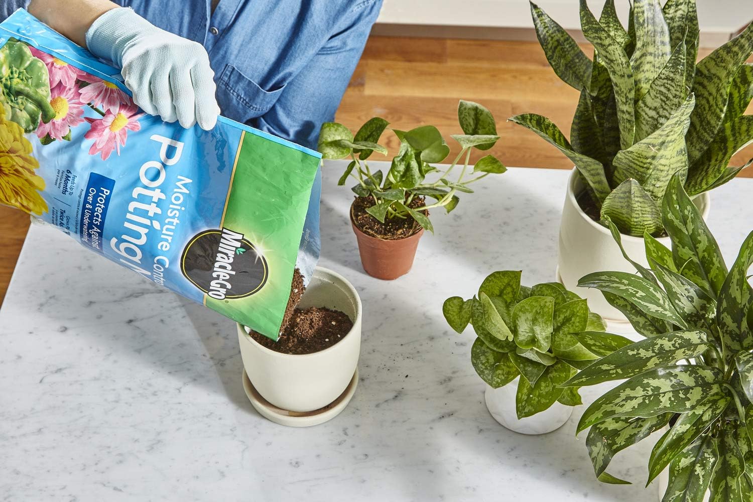 Miracle-Gro Moisture Control Potting Mix 8 qt., Protects Against Over and Under Watering Container Plants, 2 Pack : Garden & Outdoor