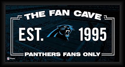 carolina panthers team store