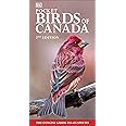 Pocket Birds of Canada 2nd Edition