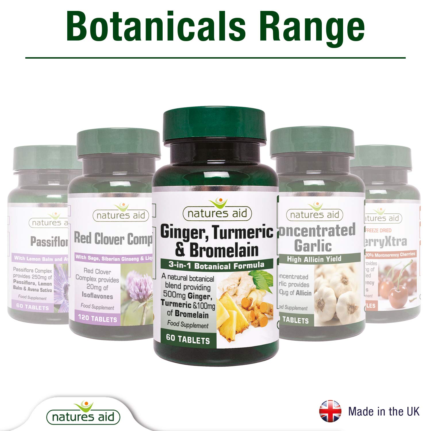 Natures Aid Ginger Turmeric and Bromelain, 3in1 Botanical Formula