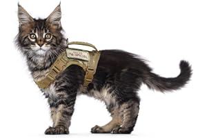 AUGOPAPA Tactical Cat Harness for Walking Escape Proof, Soft Mesh Adjustable Pet Vest Harness for Large Cat,Small Dog (L, Khaki)