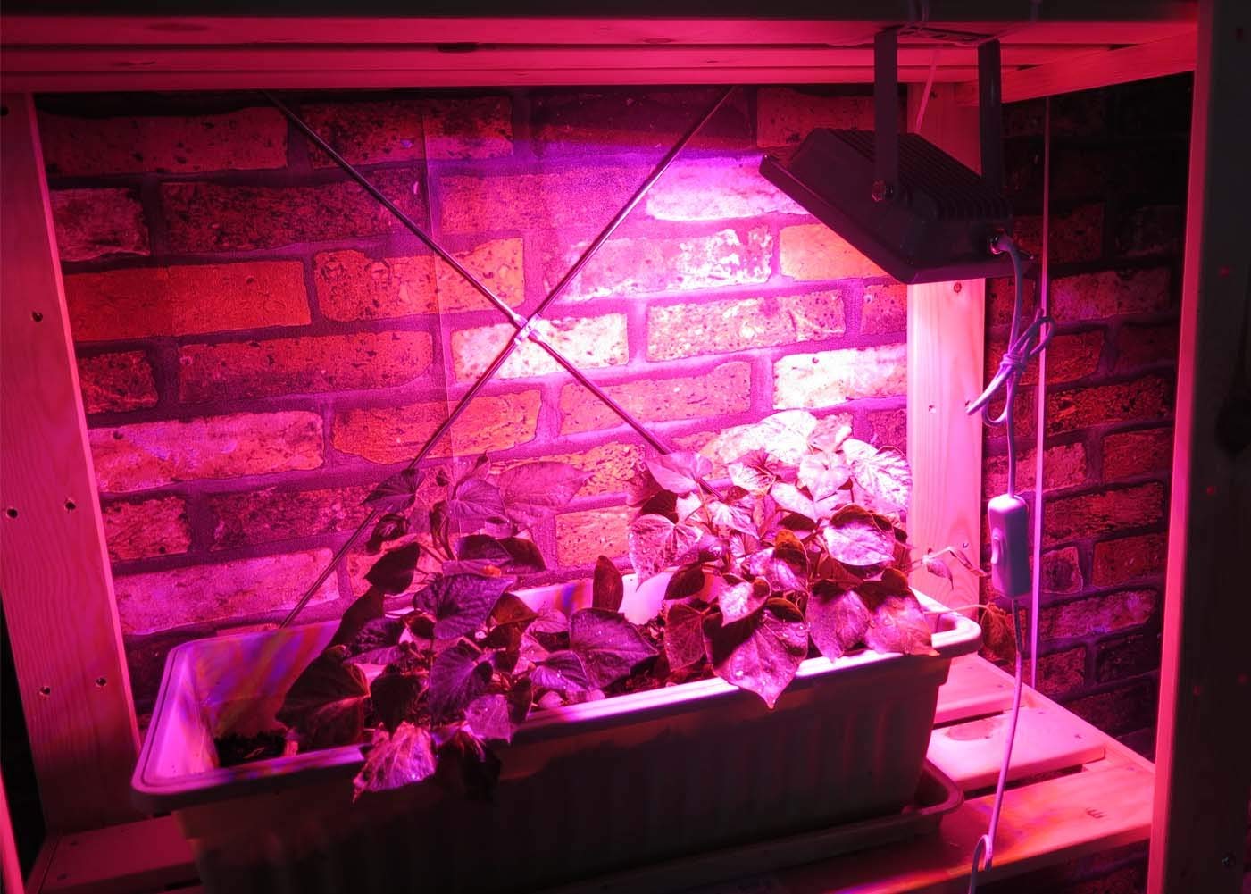 Flood Light with Cable and Plug LED Plant Grow Light (SMD no...