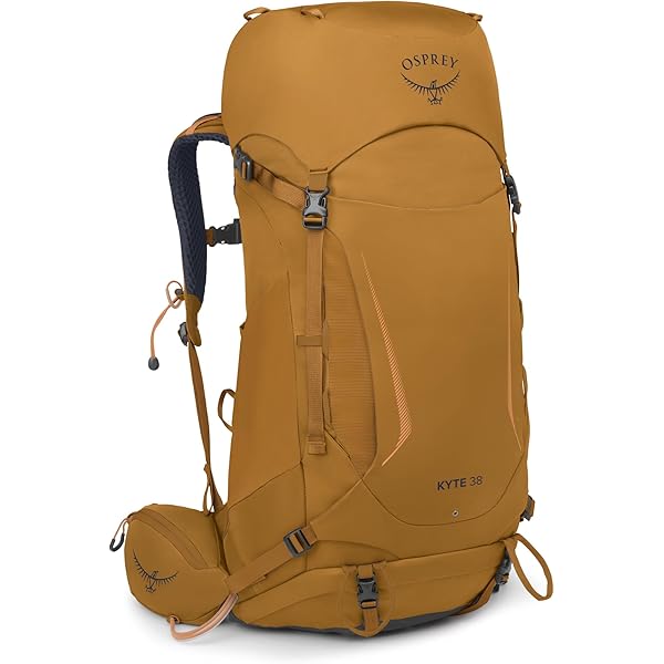 Amazon.com : Osprey Ariel Pro 75L Women's Backpacking Backpack