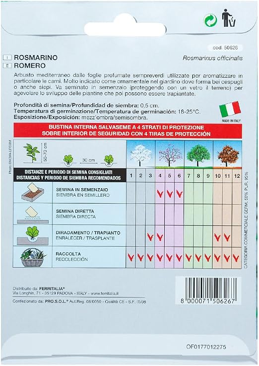 Semillas Aromaticas Romero (0.1 Gramos): Amazon.es: Jardín