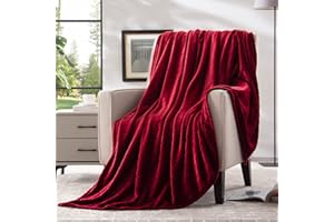 Bertte Plush Throw Super Soft Fuzzy Warm Blanket | 330 GSM Lightweight Fluffy Cozy Luxury Decorative Stripe Blanket for Bed Couch - 50"x 60", Burgundy