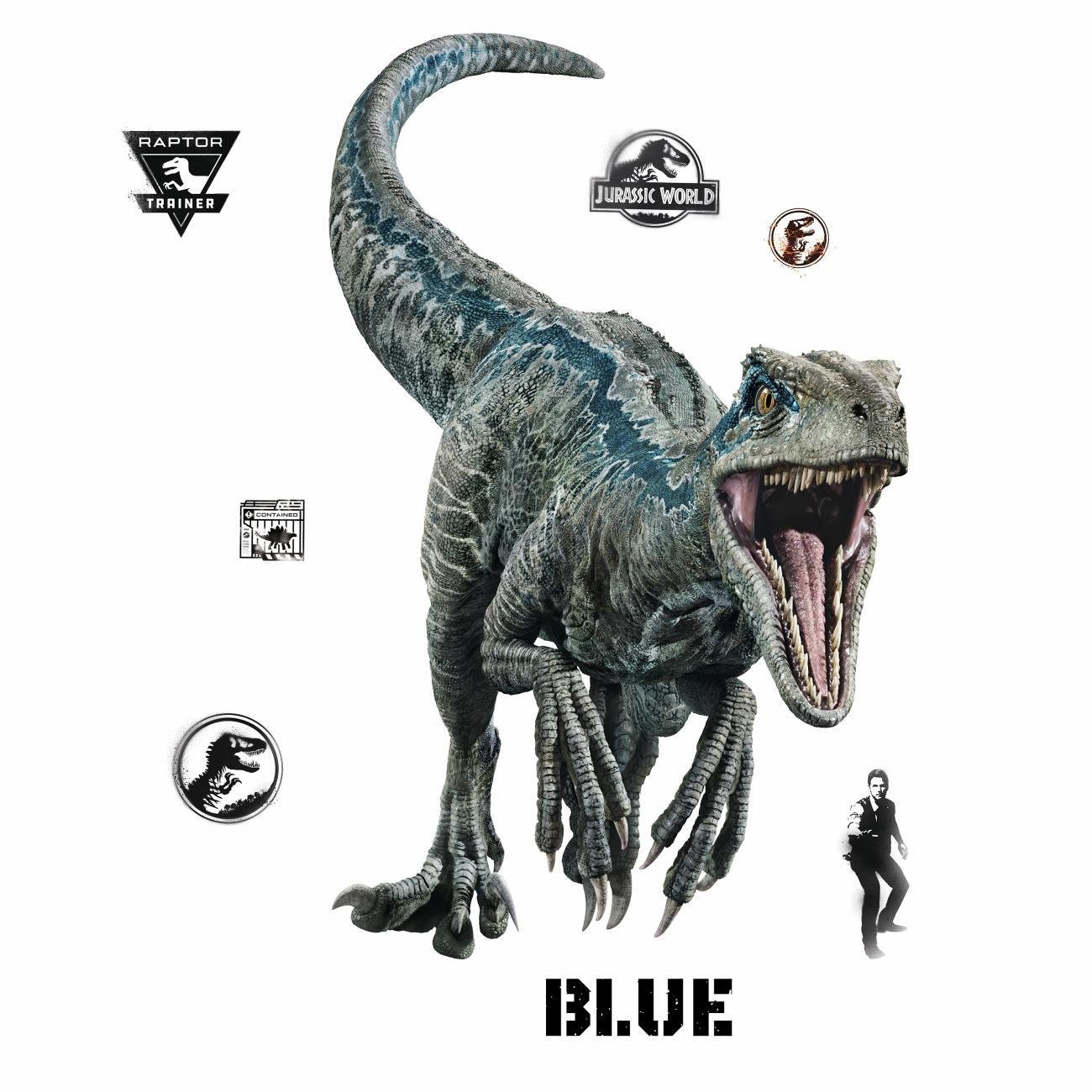 Roommates Jurassic World Fallen Kingdom Velociraptor Giant Peel And Stick Wall Decals York Wallcoverings Rmk3799gm Paint Wall Treatments Supplies Home Garden Montibello Com