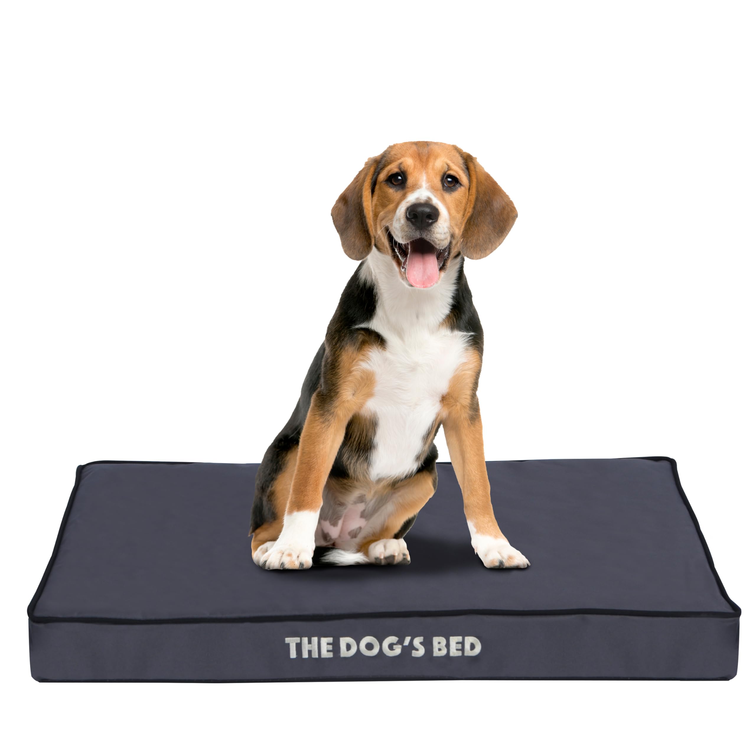 The Dog’s Bed Orthopaedic Standard Foam Dog Bed Mattress, Calming Surface – CertiPUR-Certified Foam, Oxford Fabric, Grey with Black Trim, Medium