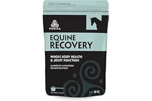 PURICA Recovery EQ Horse Joint Supplement - Formulated with Glucosamine, MSM, Vitamin E & C - Suitable for Horses - 26g per Scoop