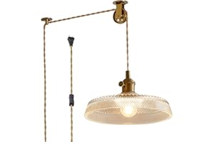 Oyisen Plug in Pendant Light,9.1 Inch Glass Lampshade Hanging Lights with Plug in Cord Two Ways Switches Industrial Pendant Lights with Plug in Cord for Bedroom