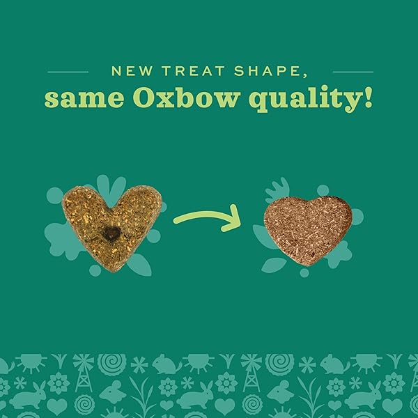 OXBOW SIMPLE REWARDS APPLE BANANA TREATS, TIMOTHY HAY GUINEA PIG & BUNNY TREATS, PET SNACK, MADE WITH OXBOW GUINEA PIG HAY, MADE IN USA, TIMOTHY FOR RABBIT, 3 OZ BAG