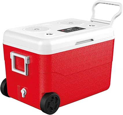 rechargeable cooler