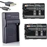 DSTE NP-FM500H Li-ion Battery (2-Pack) and Micro USB Charger Suit for Sony A57, A58, A65, A65V, A77, A77V, A99, A99 II