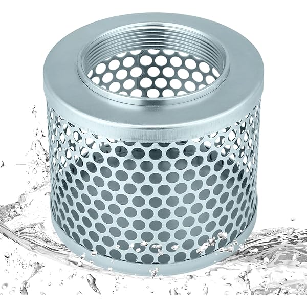 Amazon.com: Windsor Strainer, 1/2 Fpt 100 Mesh #86256120  