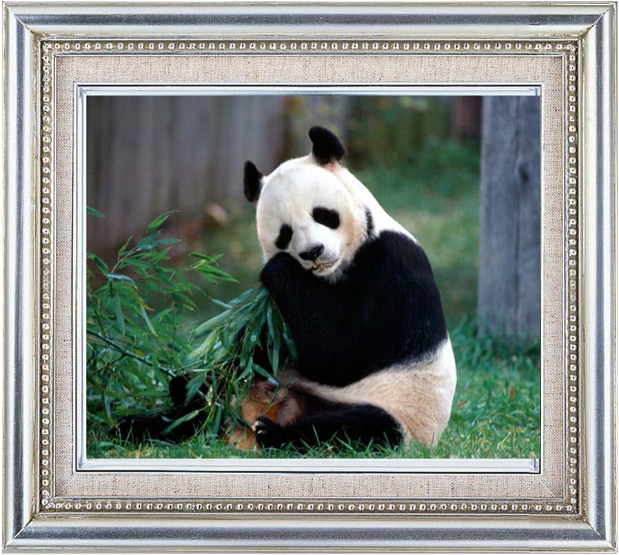 DIY Needlework Counted Cross Stitch Set Embroidery Kit 14CT 11CT Animal Panda Pattern Cross-stitch08